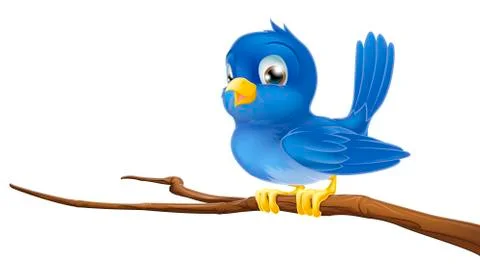 Bluebird on tree branch Stock Illustration