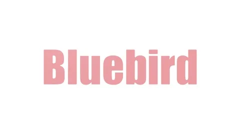 Bluebird Wordcloud Animated Isolated Stock Footage 107243845