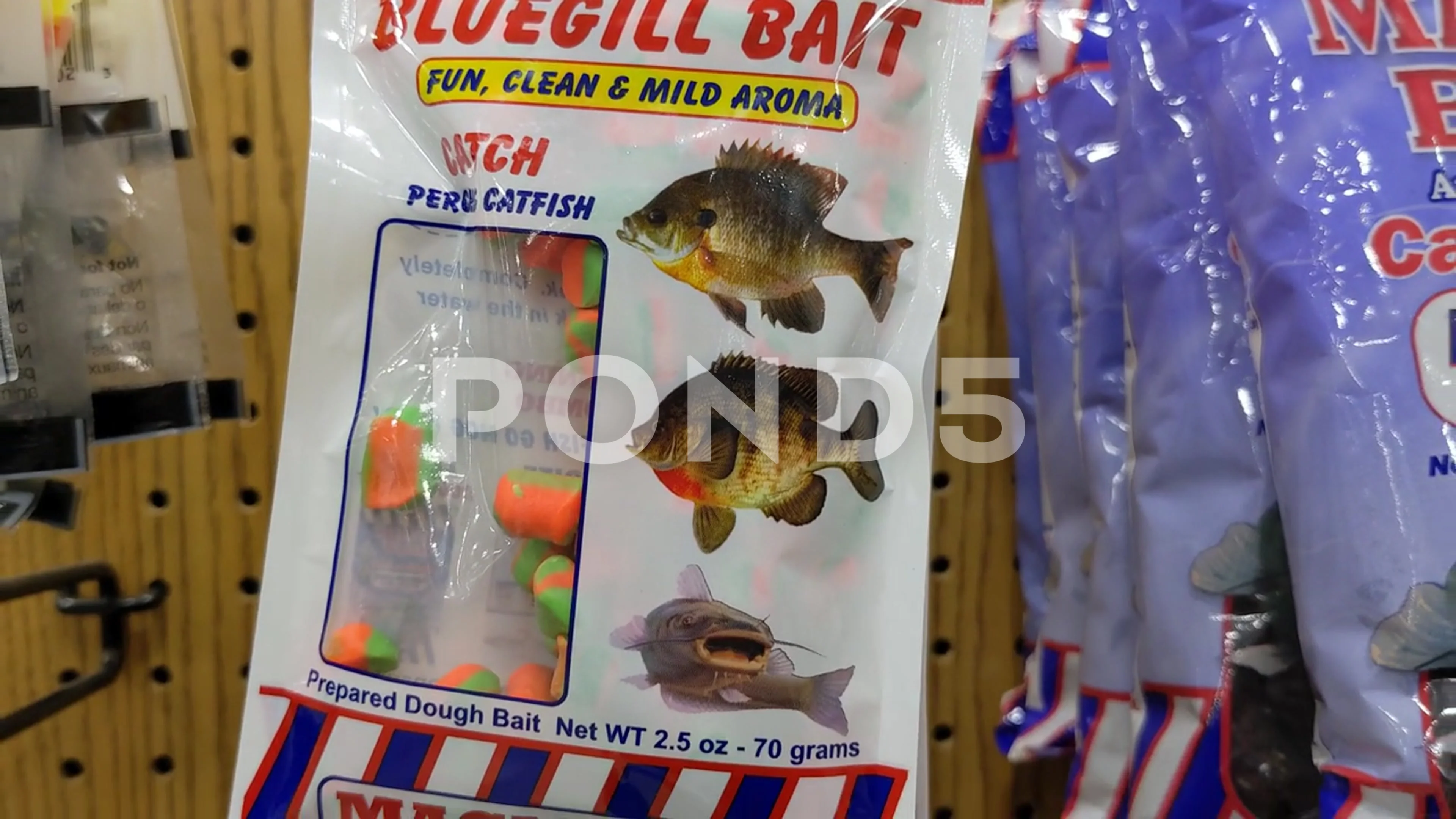 Bluegill Bait Fishing, Stock Video