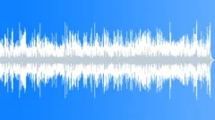 Bluegrass Big Grinner No 01 Bluegrass Quartet 304 A 130 bpm Stock Music