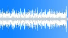 Bluegrass Big Grinner No 04 Bluegrass Quartet 304 D 130 bpmStock Music
