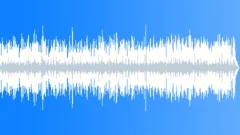 Bluegrass Cooking No 04 Guitar Mandolin Banjo Fiddle 304 D 130 bpm Stock Music