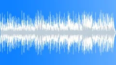 Bluegrass Happy Alligator 30 Sec Radio Cut Stock Music