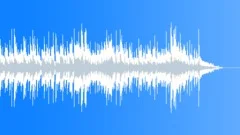Bluegrass Washboard Picker 30 Sec Radio Cut V1Stock Music