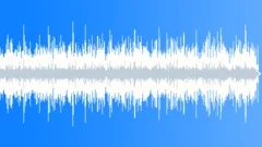 Bluegrass Washboard Picker No 01 400 A 100 bpmStock Music