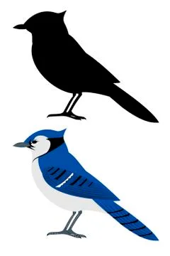 Bluejay Silhouette  Silhouette tattoos, Blue jay, Animal silhouette