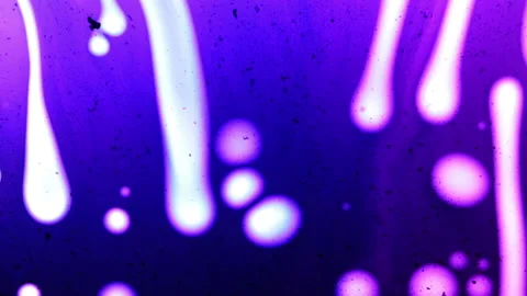 BLUEmoon (16) Stock Footage 170564795