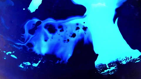 BLUEmoon (17) Stock Footage 170554735