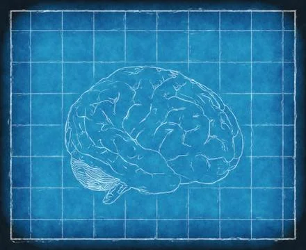 Blueprint of Human Consiousness Stock Illustration