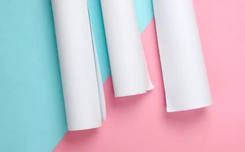 Blueprint rolls, project plan on blue pink pastel background. Top view. Flat  Stock Photos