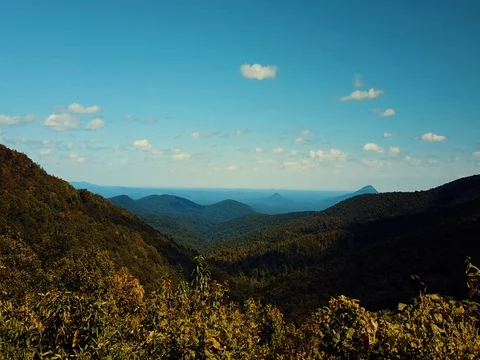 BlueRidge Fly over Tree Top Stock Footage 80010260