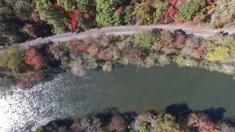 BlueRidgeTrain passing by the river Video stock 92640092