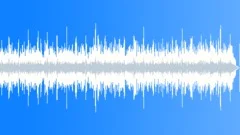 Blues Burn Me No 18 Harmonica Dobro 442 F 85 bpmStock Music