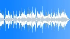 Blues Rock Crying Texas Blues 30 radio cut V2 Stock Music