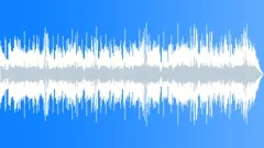 Blues Rock Crying Texas Blues 60 radio cut V1 Stock Music