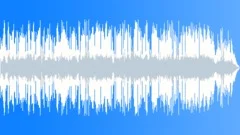Blues Rock Crying Texas Blues 60 radio cut V2 Stock Music