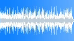 Blues Rock Pub Run 30 Sec Radio Cut Stock Music