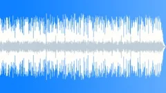 Blues Rock Pub Run No 03 Rock Trio 320 C 120 bpm Stock Music