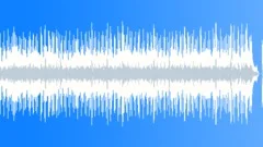 Blues Rock Tail Feather No 17 Indie Blues Rock w Slide med 311 F 85 bpmStock Music