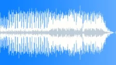 Blues -soul track-93bpm-SHORTStock Music