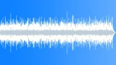 Blues Swanky No 14 Texas Blues 353 E 70 bpmStock Music