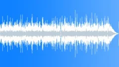 Blues Swanky No 15 Texas Blues 203 E 70 bpm Stock Music