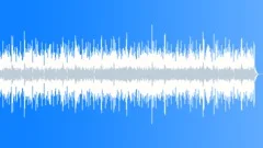 Blues Swanky No 17 Texas Blues 353 F 70 bpmStock Music