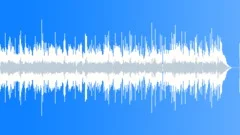 Blues Swanky No 18 Texas Blues 203 F 70 bpm Stock Music