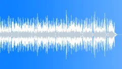Blues Texas County Blues No 04 224 B 60 bpmStock Music