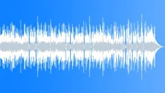 Blues Texas County Blues No 10 224 D 60 bpm Stock Music
