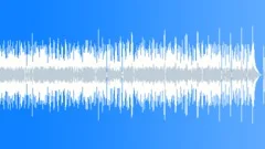Blues Texas County Blues No 11 432 D 60 bpm Stock Music