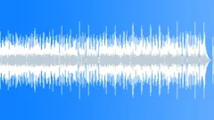 Blues Texas County Blues No 14 432 E 60 bpm Stock Music