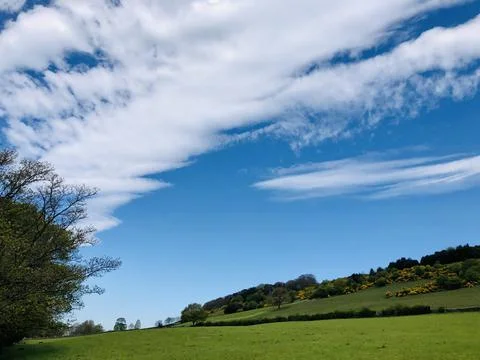 Bluesky01 Stock Photos