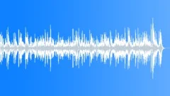 Bluesy fingers Stock Music