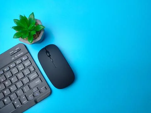 Bluetooth wireless keyboard and wireless mouse with green plant Stock Photos