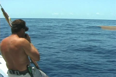 Bluewater Spearfishing Video stock 20723519