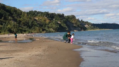 Bluff Park view Video stock 88156137