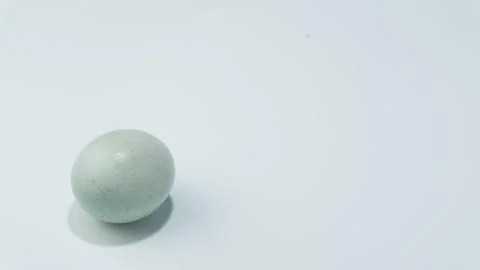 Bluish colored raw duck egg isolated on white background Stock Photos