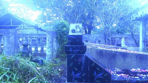 Bluish Graveyard Video stock 304608014