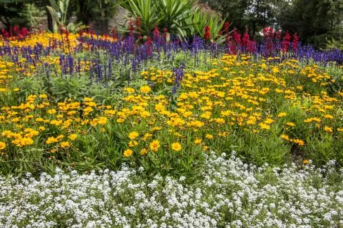 Blumenbeet Stock Photos