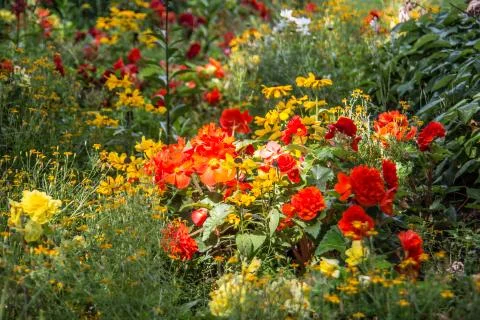 Blumenbeet Stock Photos