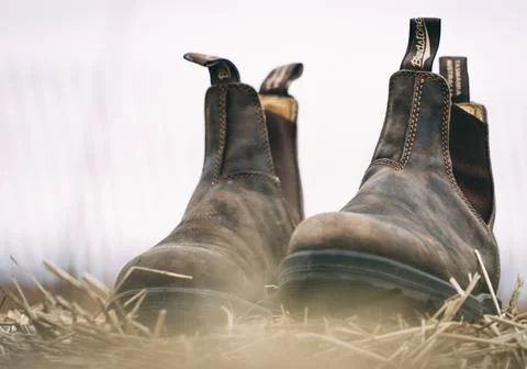 Blundstones Stock Photos
