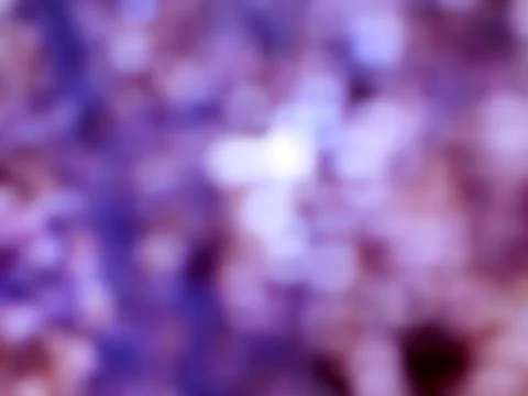 Blur abstract background. Stock Illustration