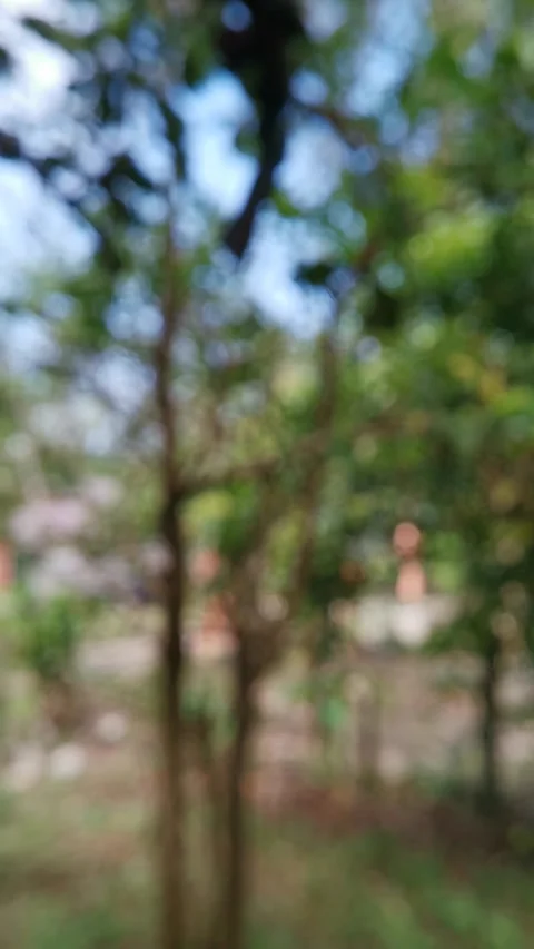 Blur abstract background of nature environment concept. Vertical footage. Stock Footage 292510827