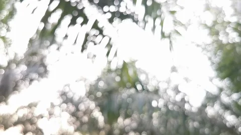 Blur abstract background of nature environment concept Stock Footage 292514706