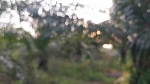 Blur abstract background of nature environment concept Stock Footage 292514731