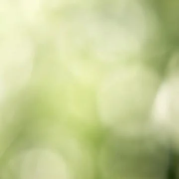 Blur abstract background. Stock Photos