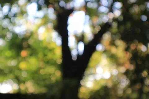 Blur abstract background Stock Photos