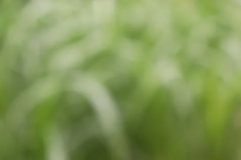 Blur Abstract Background Stock Photos