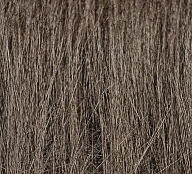 Blur   abstract grass like background Stock Photos